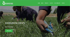 Desktop Screenshot of evergreencrops.com